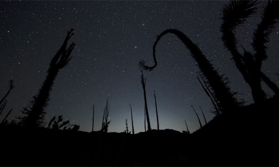 Time-Lapse de Mike Flores