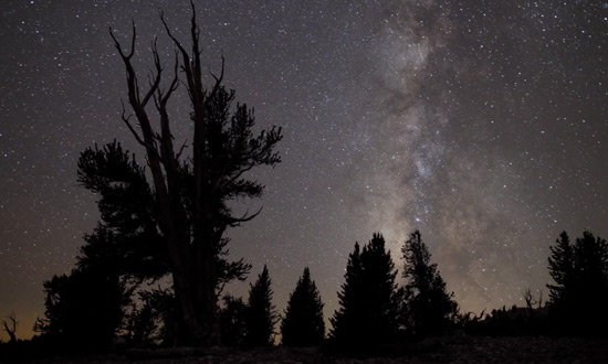 Time-Lapse de Mike Flores