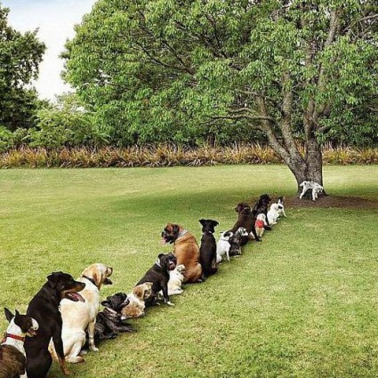 Les conséquences de la déforestation