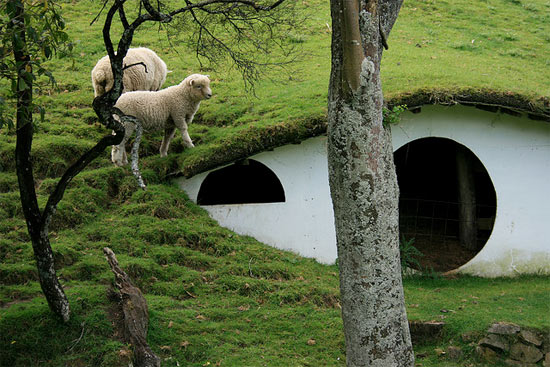 LOTR : maisons pour moutons