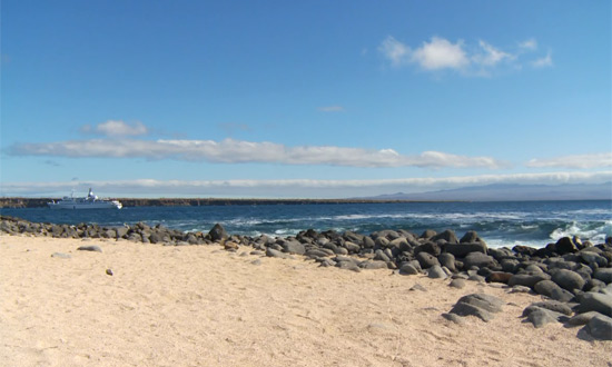 Les îles Galapagos