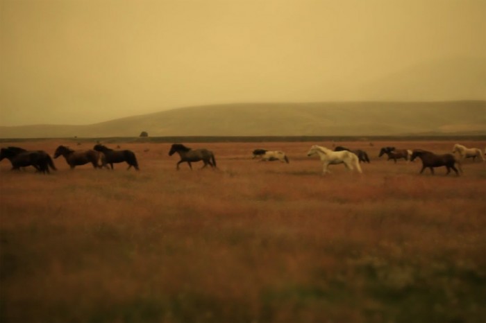 madeiniceland6