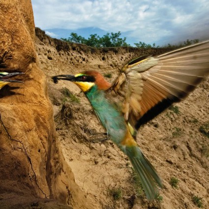 Photos du jour de National Geographic #1