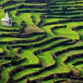 Terraced Earth