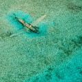 Avion échoué aux Bahamas