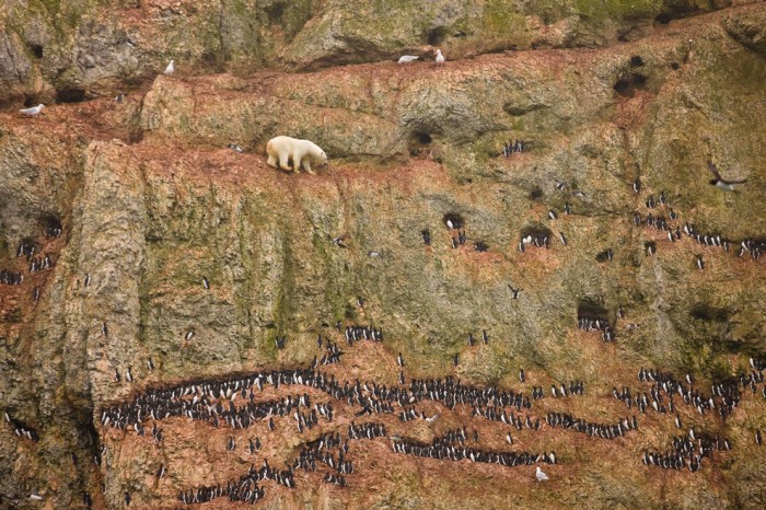 245879250-world-press-photo-contest-winners-08