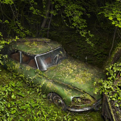 Paradise Parking de Peter Lippmann