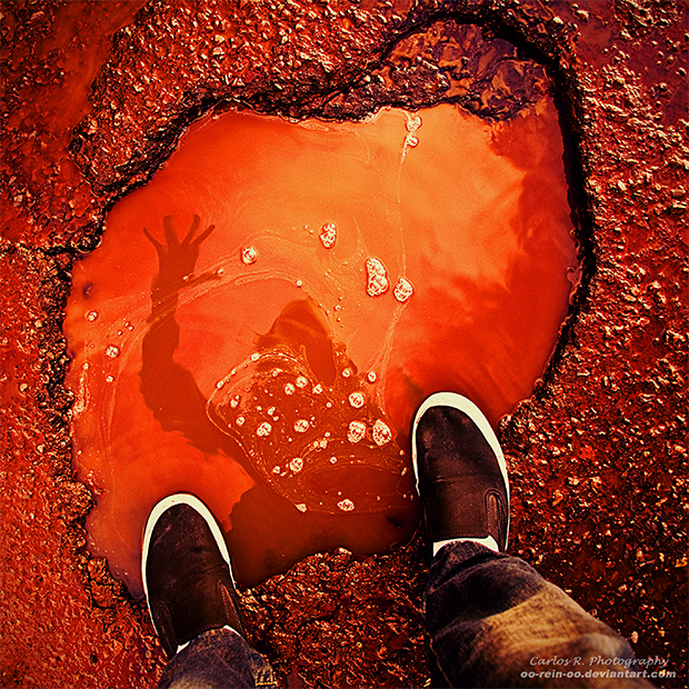 © Carlos Henrique Reinesch