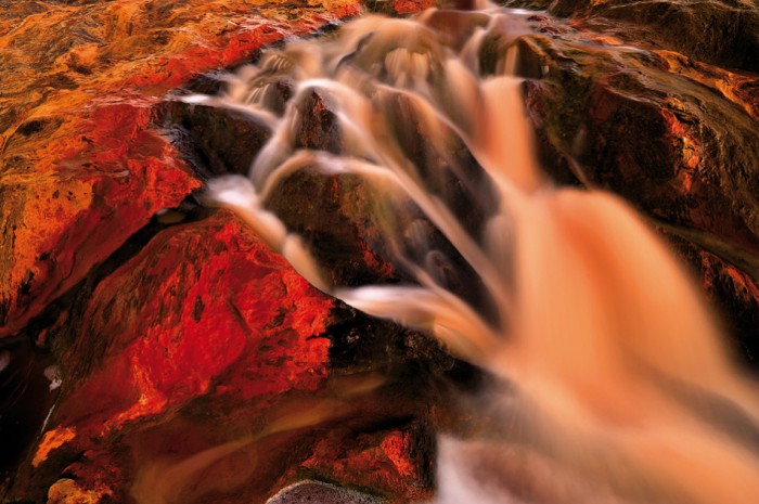Los Colores del Tinto © Francisco Mingorance