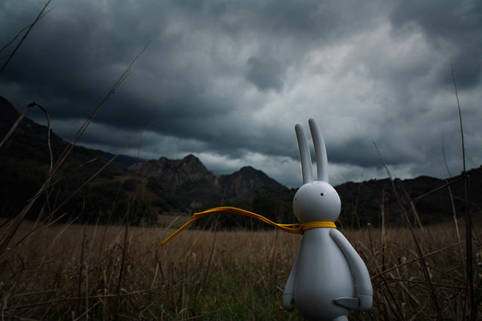Petit Lapin ©Brian McCarty