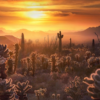 Photographies de Marc Adamus