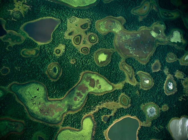 Lagoons, Brazil by Joel Sartore