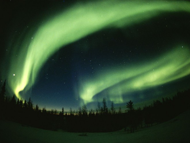 Northern Lights by Paul Nicklen