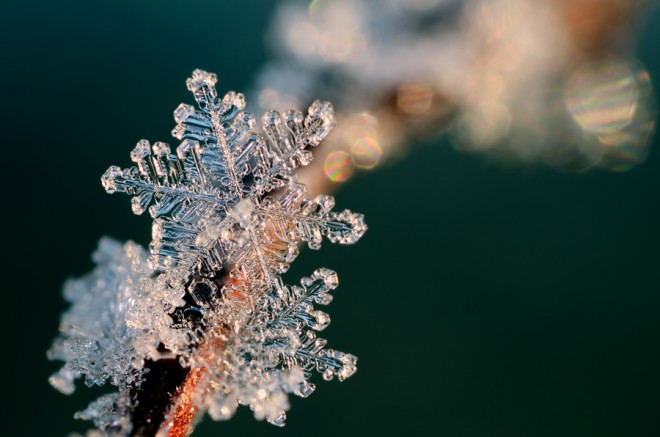 A Little Snow ©Mark Johnson