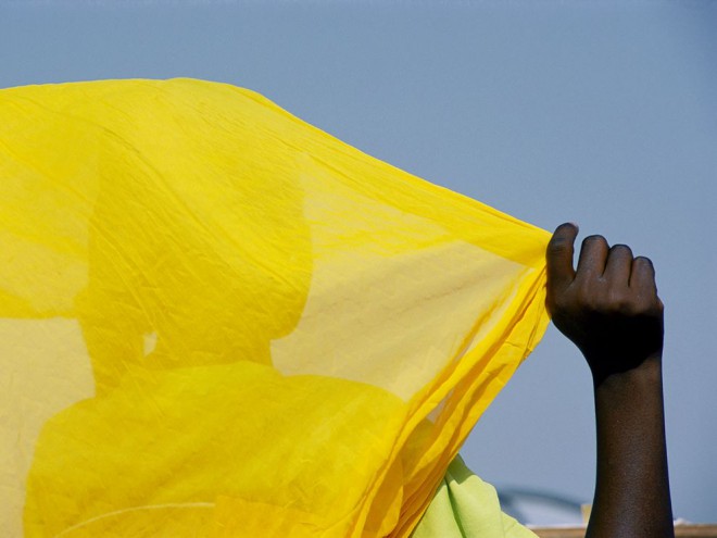 Malian Woman by Michael S. Lewis