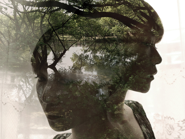 Expositions multiples de Miki Takahashi - Forest