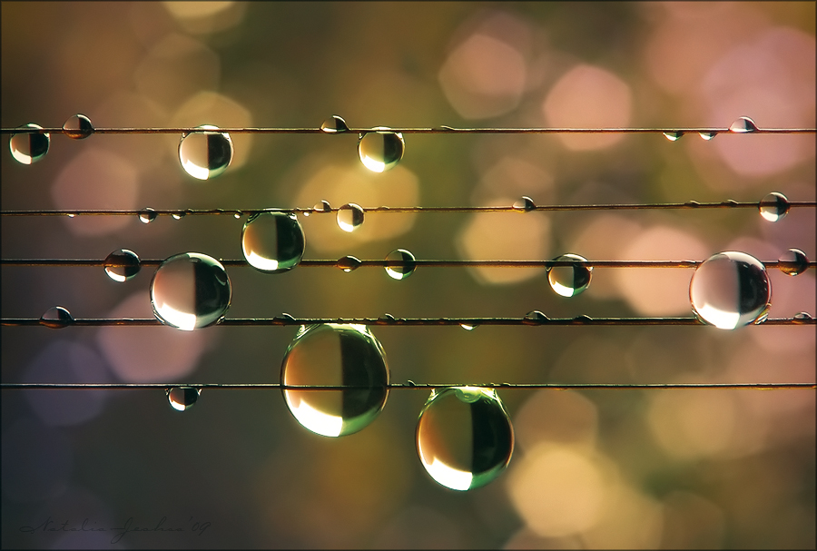 Music of the Rain ©Natalia Jeshoa