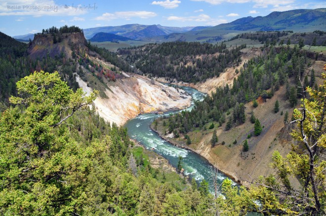 The Grand Canyon of Yellowstone © Michele Jensen