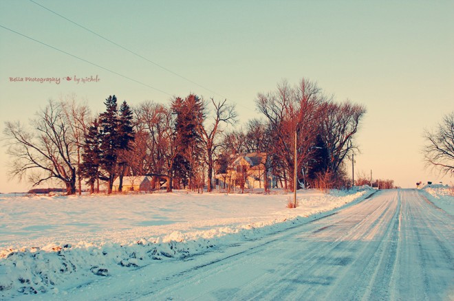 Winter Farm © Michele Jensen