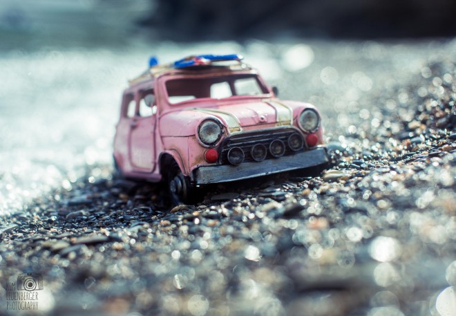 La Vie En Rose / Kim Leuenberger