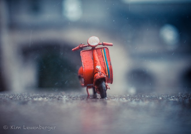 Lezarding under the Sun / Kim Leuenberger
