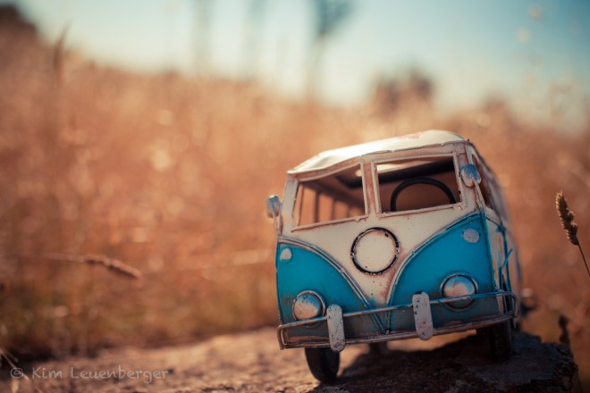 Lezarding under the Sun / Kim Leuenberger