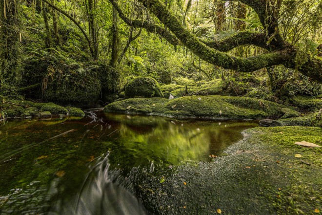 New Zealand 4K - Martin Heck 67910917