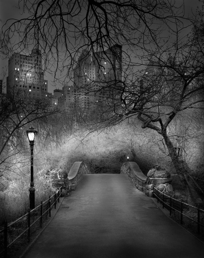 central park - michael massaia 0000000011