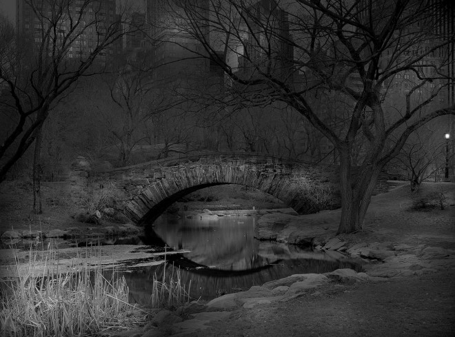 Deep In A Dream - Central Park / Michael Massaia