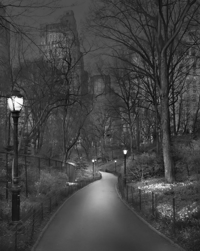 Central Park / Michael Massaia