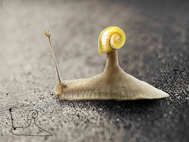 Telmo Pieper - Kiddie Arts