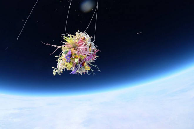 Exbiotanica - Makoto Azuma - Plants in stratosphere