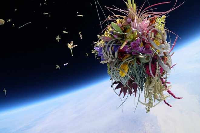 Exbiotanica - Makoto Azuma - Plants in stratosphere