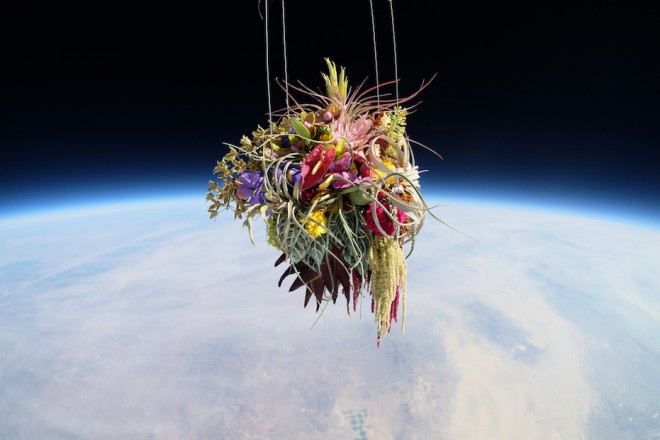 Exbiotanica - Makoto Azuma - Plants in stratosphere