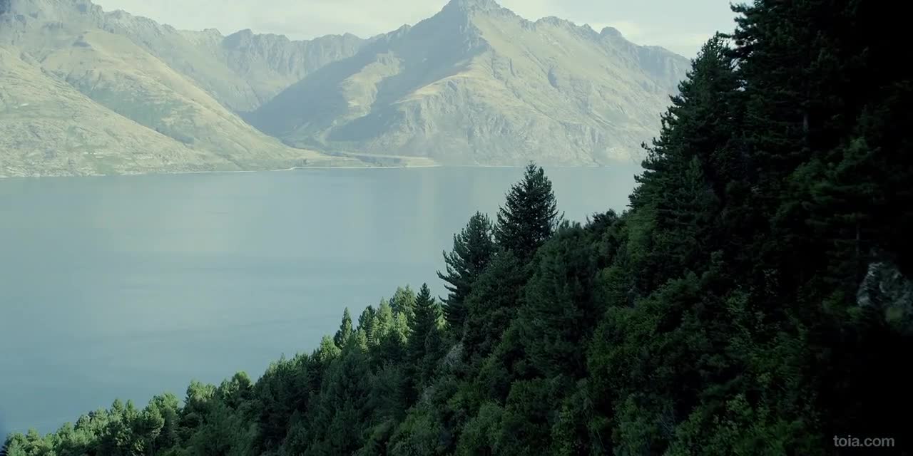 Flying Over New Zealand