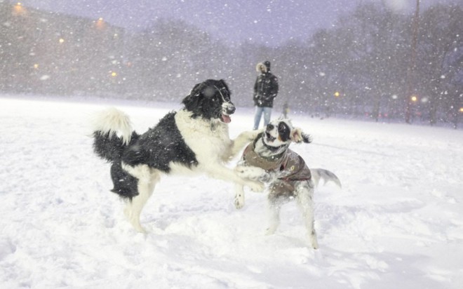 Tempête de Neige à New York