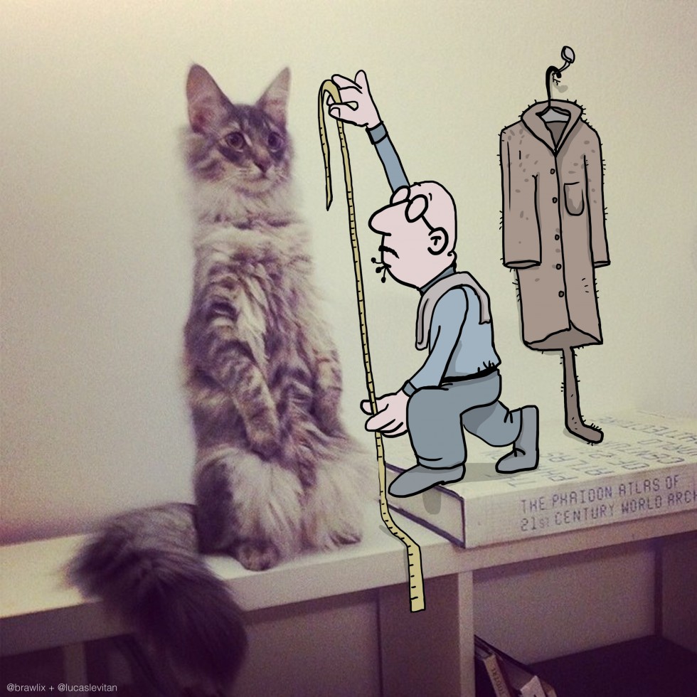 Cat measures - Photos Invasion ©Lucas Levitan