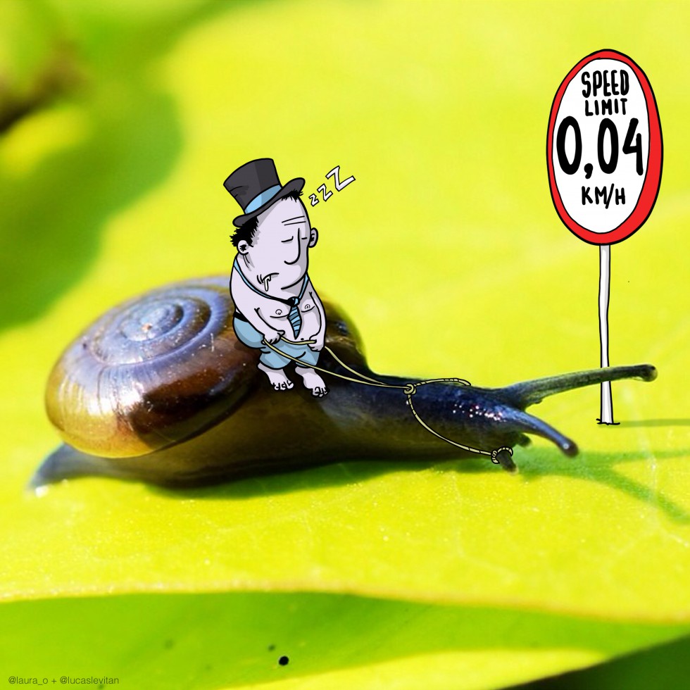 Slug Limit - Photos Invasion ©Lucas Levitan