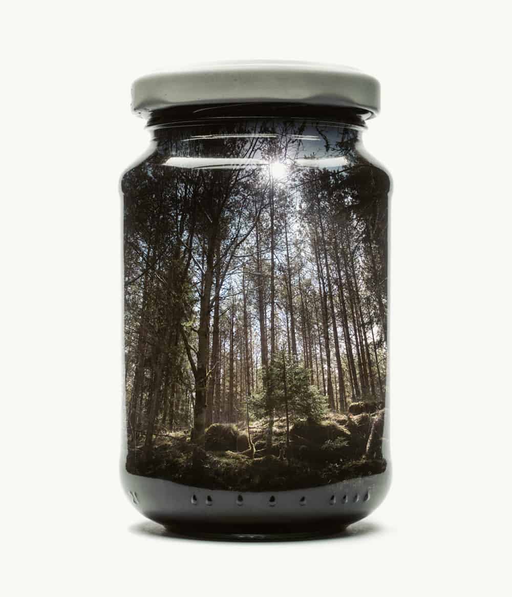 Des paysages dans des pots en verre / Christoffer Relander