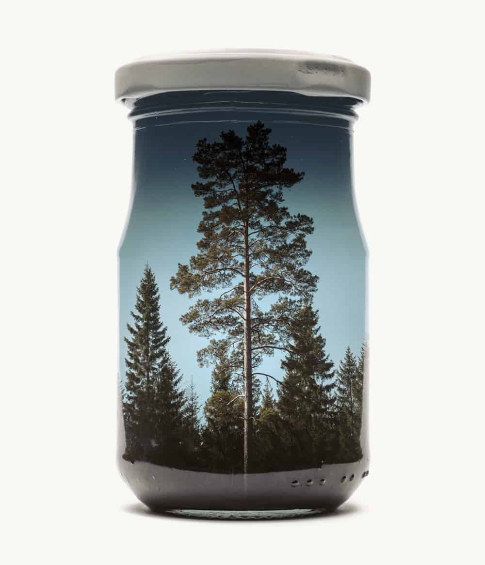 Des paysages dans des pots en verre / Christoffer Relander