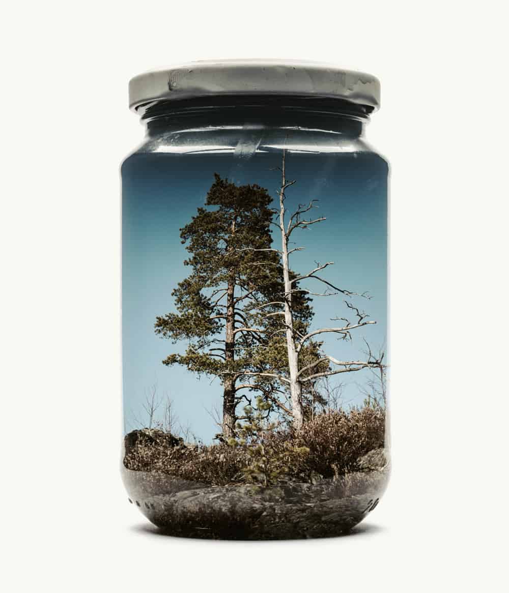 Des paysages dans des pots en verre / Christoffer Relander